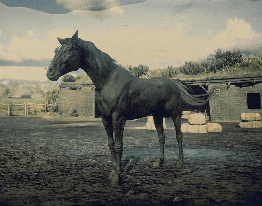 black_horse-min.PNG