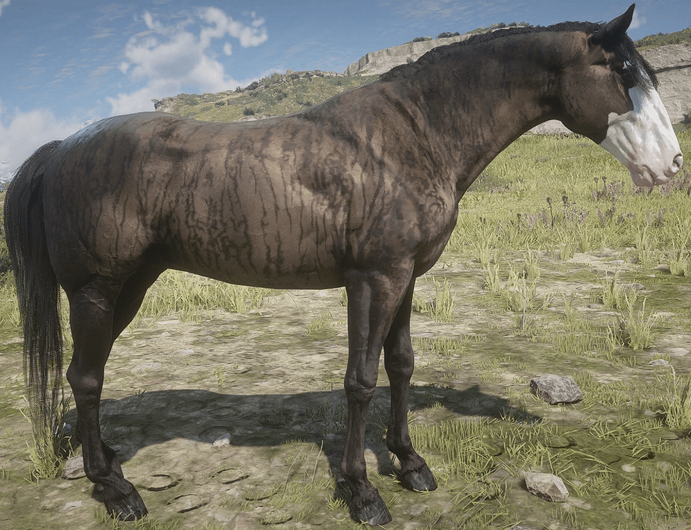 buckskin_brindle-min.PNG