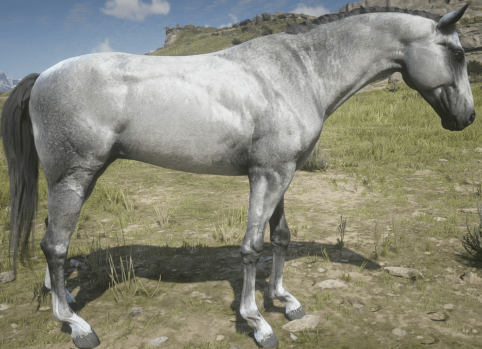 grey_turko-min.PNG
