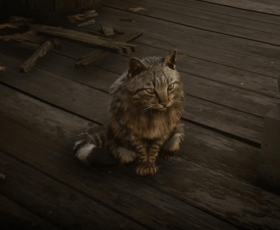 Kedi_200_tl-min.PNG