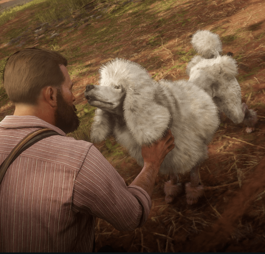 poodle_300_tl-min.PNG