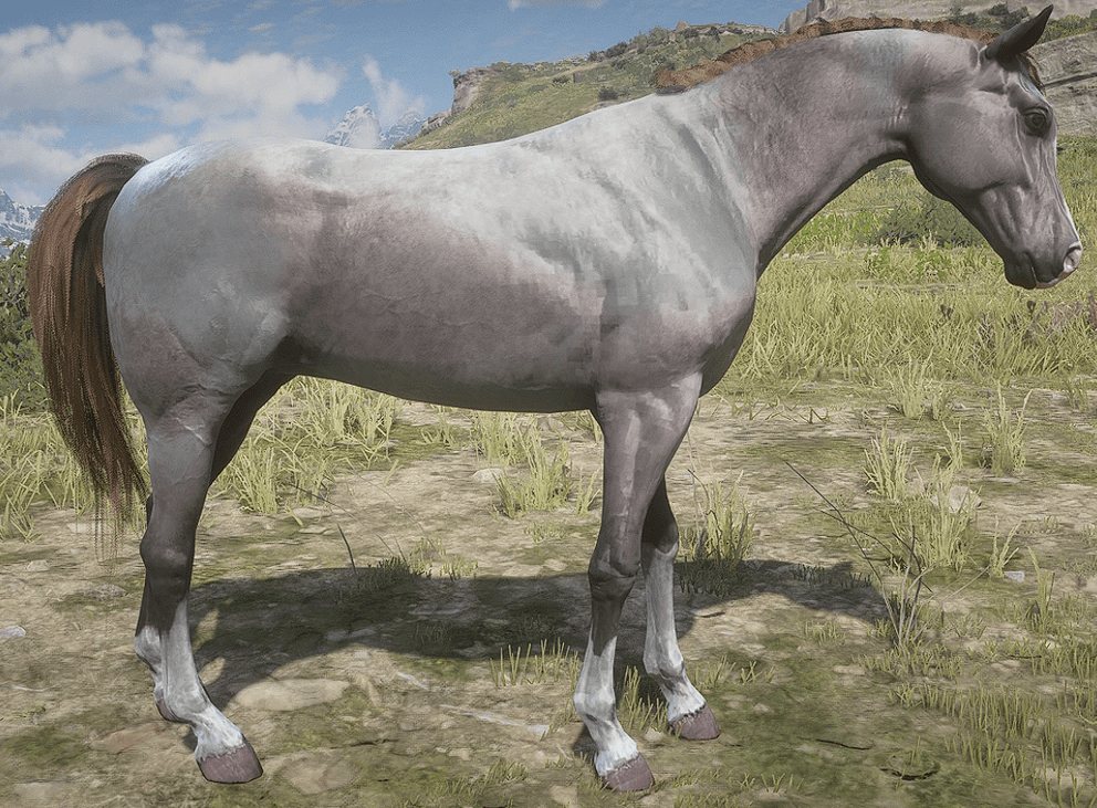 rose_grey_bay-min.PNG