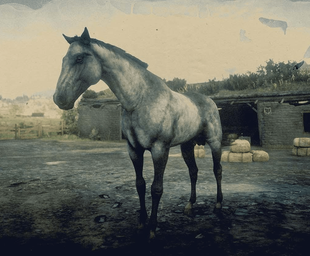silver_turko-min.PNG
