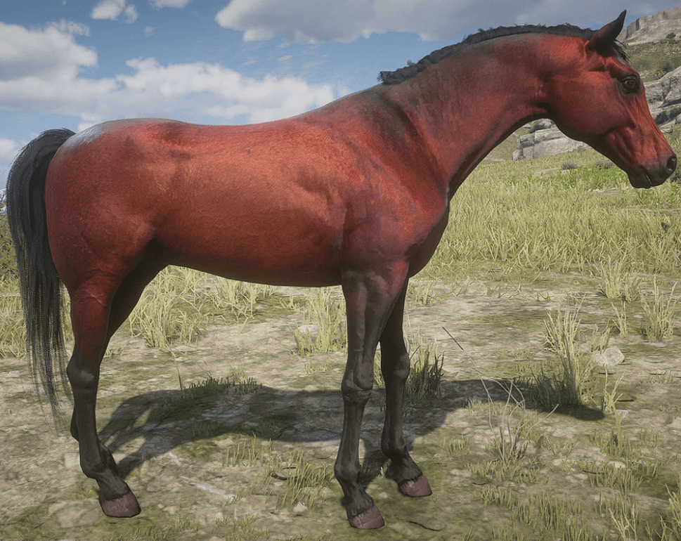specal_red_araban-min.PNG
