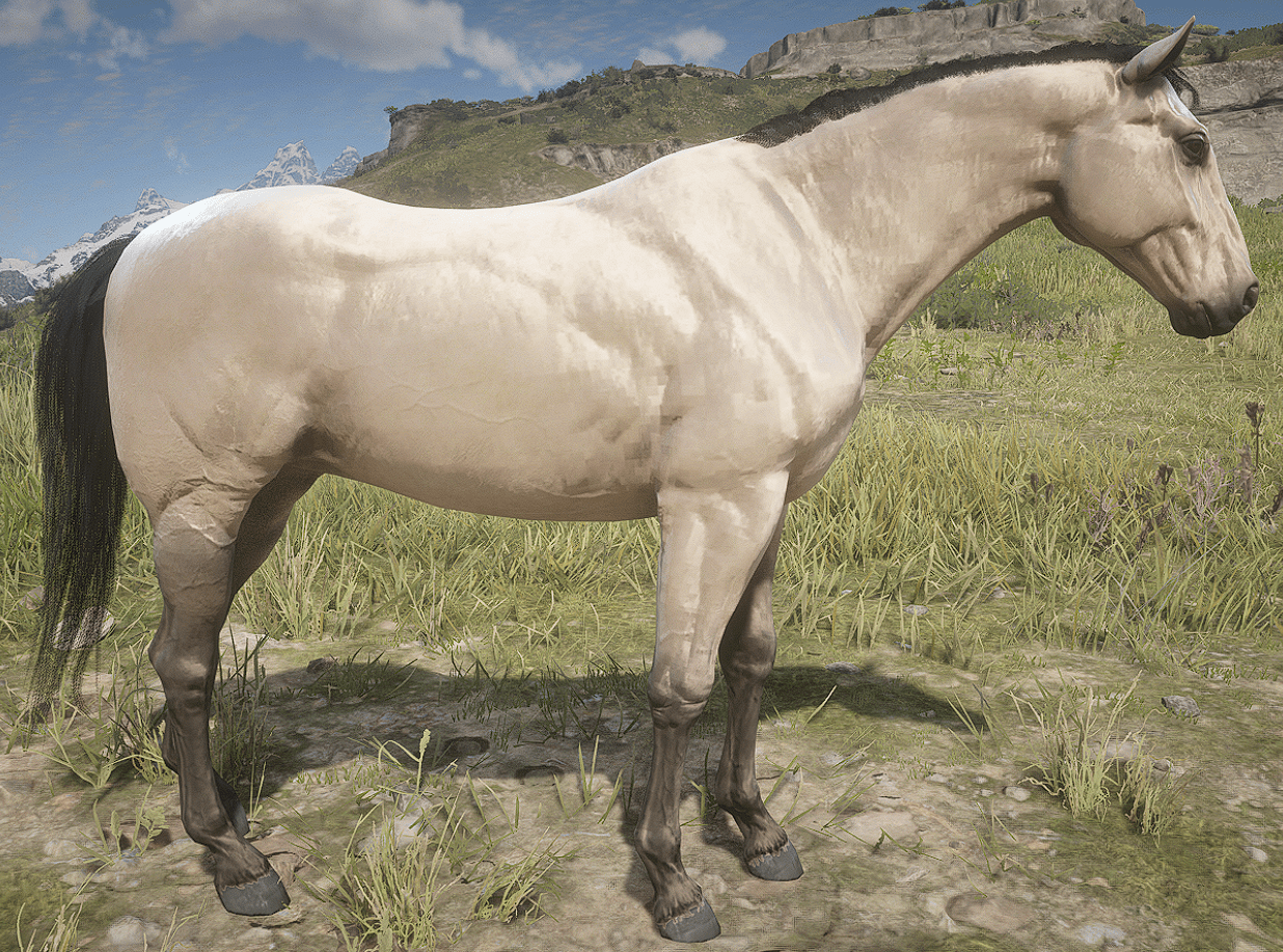 standardbred_light_buckskin-min.png