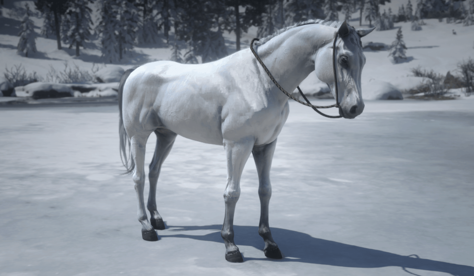 white-min.PNG