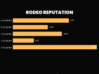 Rodeo Roleplay REPUTATION.png